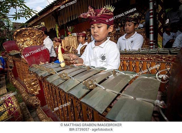 Children of a gamelan orchestra at an event, Ubud, Bali, Indonesia