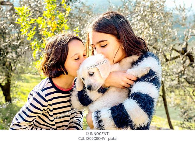 Two girls kissing a cute golden retriever puppy in orchard, Scandicci, Tuscany, Italy