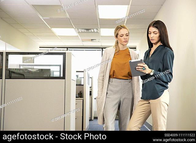 Two co-workers looking at an tablet in an office