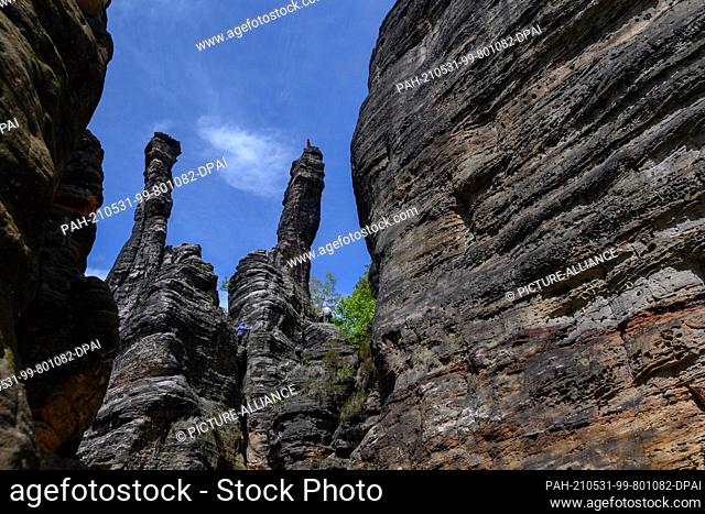 24 May 2021, Saxony, Bielatal: View of the Great Hercules Column and the Small Hercules Column in the Biela Valley in Saxon Switzerland