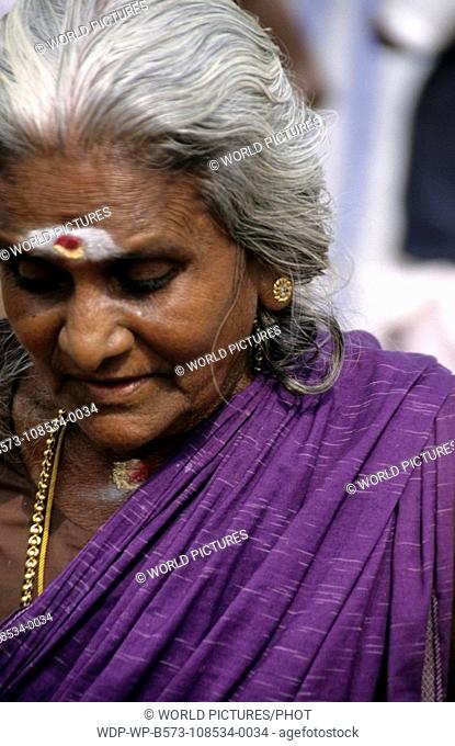 South India- Tamil Nadu Pongal Festival - Indian Woman Pongal festival falls in the month of January, a festival of Thanks giving to the Sun