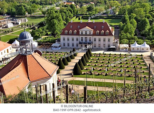 Stock Photo of the historical main buidling of the Saxon State Vineyard Schloss Wackerbarth in Radebeul near Dresden