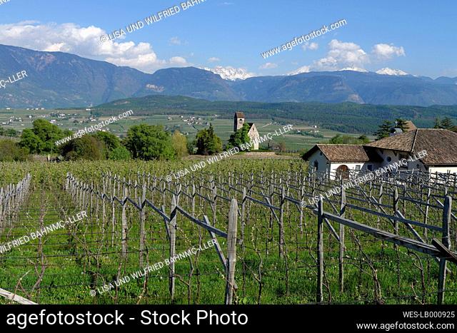 Italy, South Tyrol, South Tyrolean Unterland, Eppan, Vineyards at the Castle Englar, with Castle Church Saint Sebastian