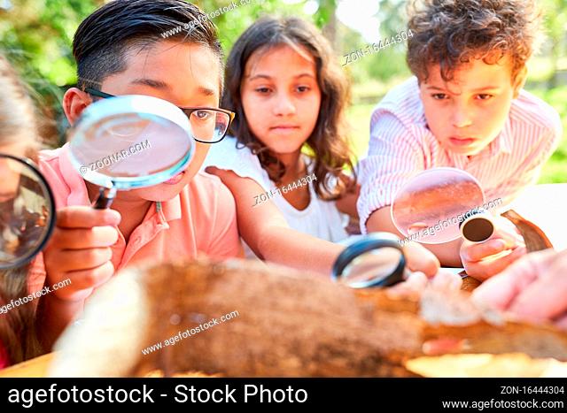 Kinder schauen interessiert auf Baumrinde durch eine Lupe im Naturschutz Ferienkurs
