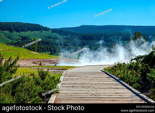 A steaming thermal area in Yellowstone National Park, USA