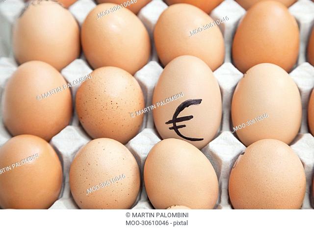 Euro sign on egg surrounded by plain brown eggs in carton