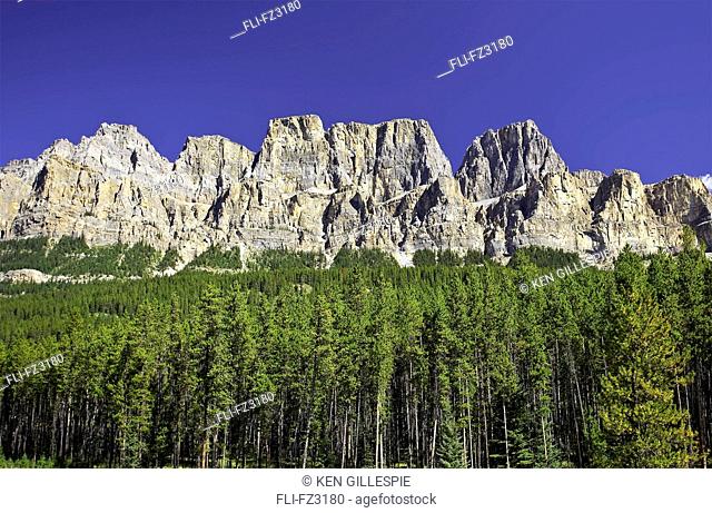 Castle Mountain and Lodgepole Pine Forest, Banff National Park, Alberta