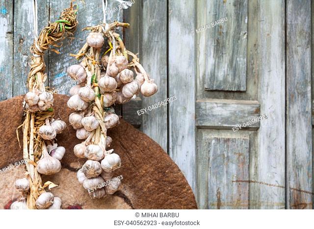 Color image of some garlic braids hanging