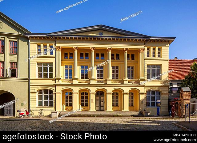 Zoological Institute, baroque hall of the university on Universitätsplatz, Rostock, Mecklenburg-Western Pomerania, Germany, Europe