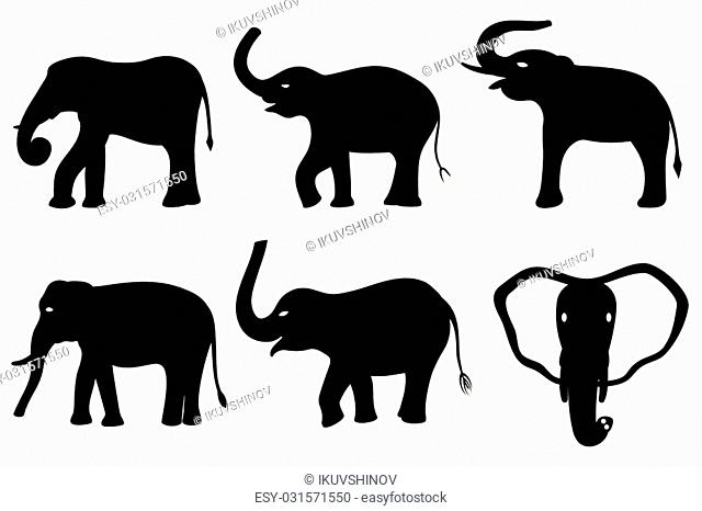 Black silhouettes of elephants isolated on white background