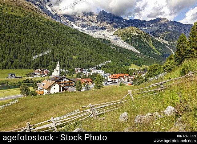 Mountain meadow with fence, mountain village Sulden, Solda, district of the municipality Stilfs, Suldental, Ortler Alps, Ortles, Vinschgau, Trentino-South Tyrol