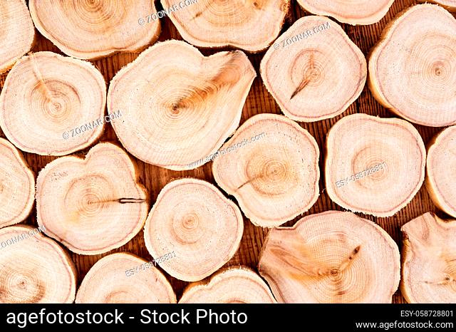 Texture of cross section wood logs. Pattern of juniper tree stump background. Circles juniper wood slice cross section with tree rings that show age organic...