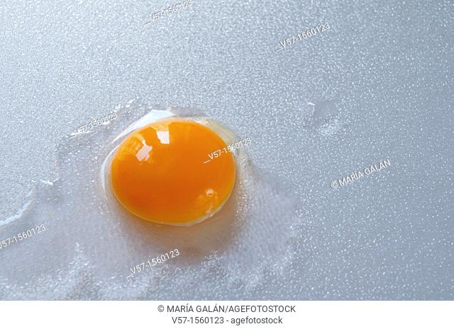 Yolk of egg