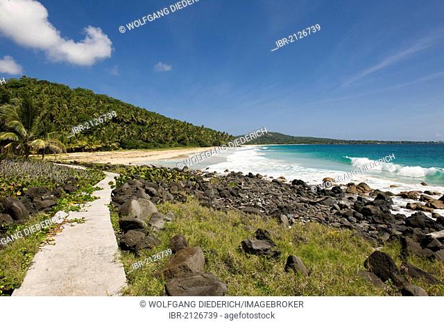 Beach, coconut palms, Big Corn Island, Caribbean Sea, Nicaragua, Central America