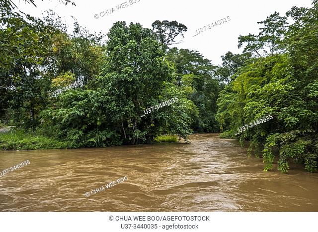 A small stream in Kampung Terbat, Mongkos, Sarawak, Malaysia