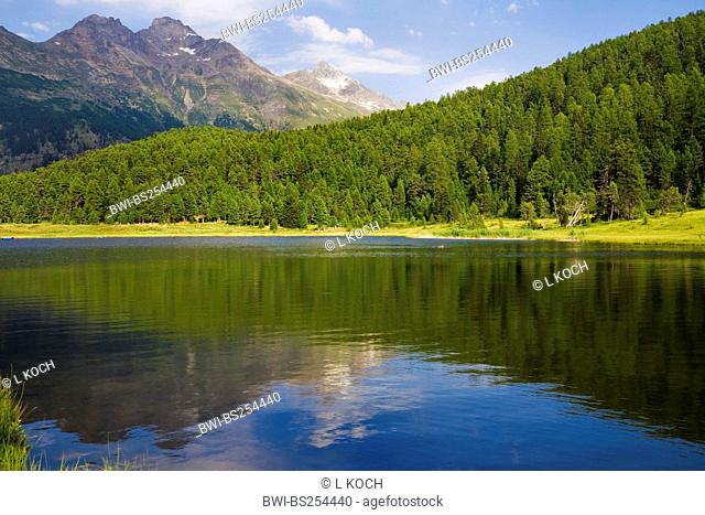 Lake of Staz and forest of Staz, Switzerland, Graubuenden, Oberengadin, St. Moritz