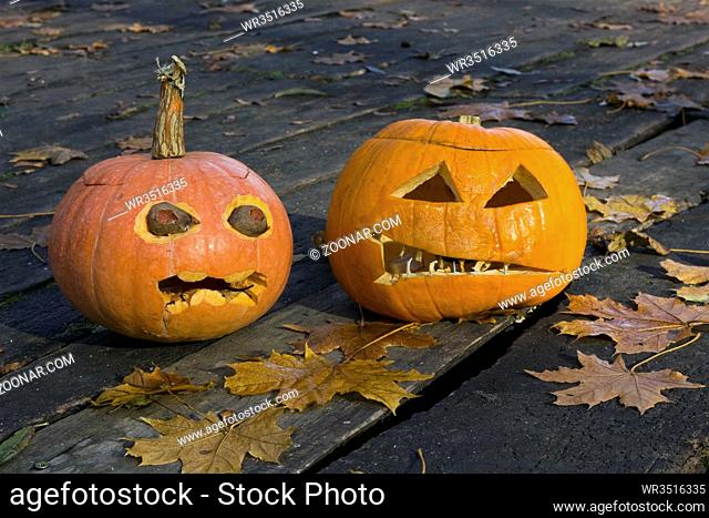 Two terrible ugly pumpkins on a timber floor with maple leaves in night