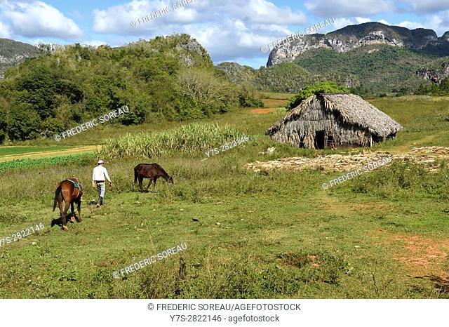 Landscape of Vinales, Pinar del Rio province, Cuba