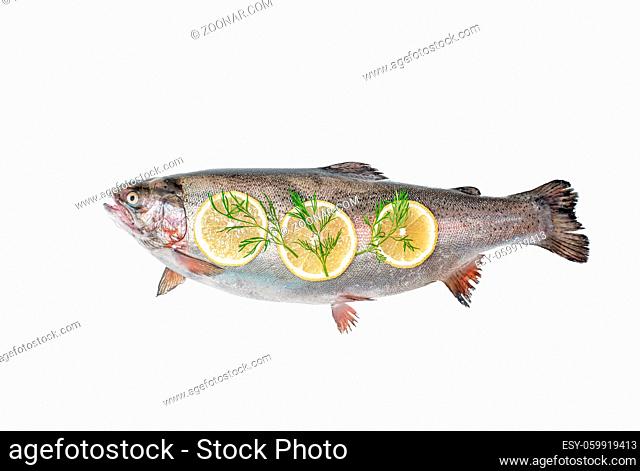 View above the whole big a salmon fish isolated on a white background