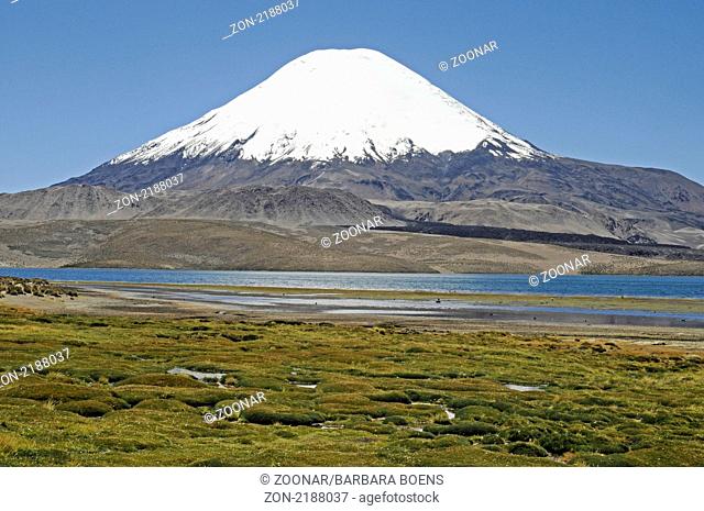 Parinacota volcano, Lago Chungara, lake, Vulkan, See, Lauca National park, Nationalpark, Norte Grande, northern Chile, Nordchile, Chile, South America