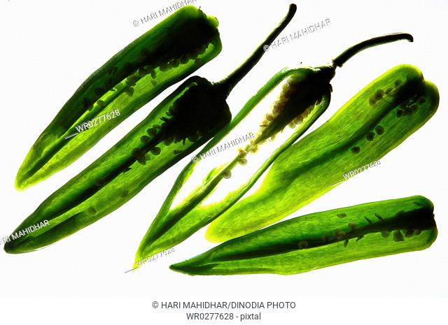Vegetable , Five Green Chillies Slices on white background