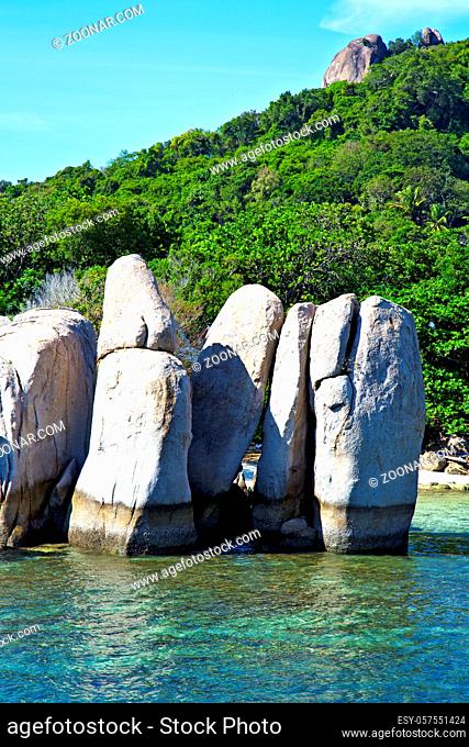 blue lagoon stone in thailand kho tao bay abstract of a water  south china sea