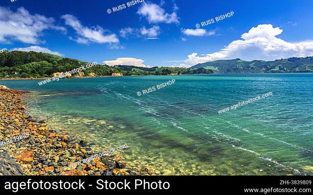 Coastline along the Otago Peninsula, Dunedin, Otago, South Island, New Zealand