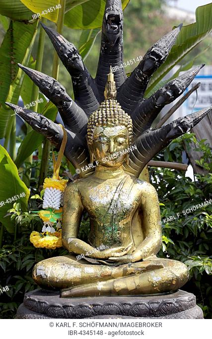 Naga Buddha statue with snakes, New Territories, Hong Kong, China