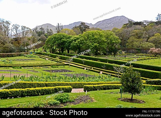 Victorian walled garden, Kylemore Abbey, Connemara, County Galway, Ireland, Europe