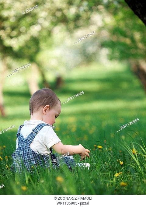 Outdoor baby in the spring