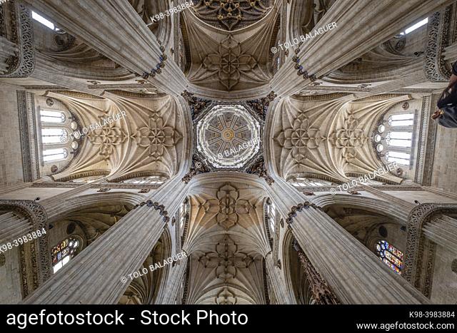 Crucero de la catedral, Catedral de la Asunción de la Virgen, Salamanca, comunidad autónoma de Castilla y León, Spain