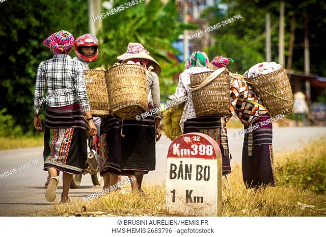 Vietnam, High Tonkin, Binh Duong province, near the village of Ban Bo, back to the village for these women and their basketwork baskets after harvesting tea...