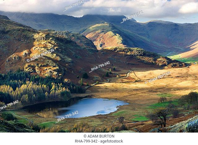 Blea Tarn and Wrynose Fell in the Lake District National Park in autumn, Cumbria, England, United Kingdom, Europe
