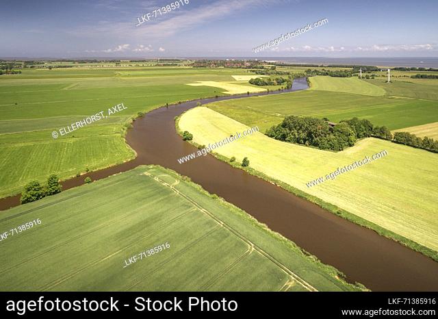 Fields at Crildumer Tief and Hohenstief, Wangerland, Friesland, Lower Saxony, Germany, Europe
