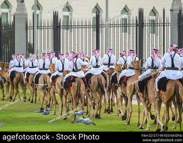 15 December 2022, Qatar, Doha: Mounted security forces ride their camels along a meadow in front of the Amiri Diwan, the official workplace and office of the...