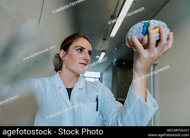 Scientist holding multi colored artificial brain while standing at clinic corridor