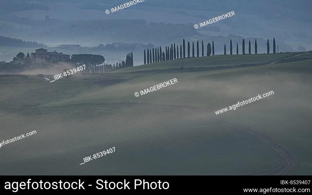 Typical country estate in hilly landscape with foggy atmosphere and cypresses (Cupressus), Crete Senesi, province of Siena, Tuscany, Italy, Europe