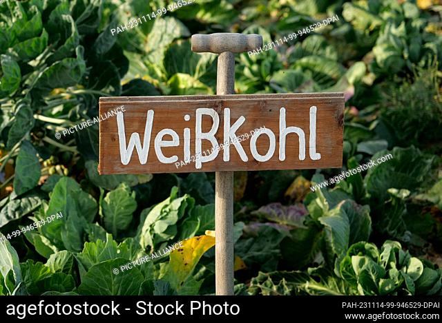13 November 2023, Berlin: 13.11.2023, Berlin. On the grounds of an organic farming project stands a sign made from a digging fork