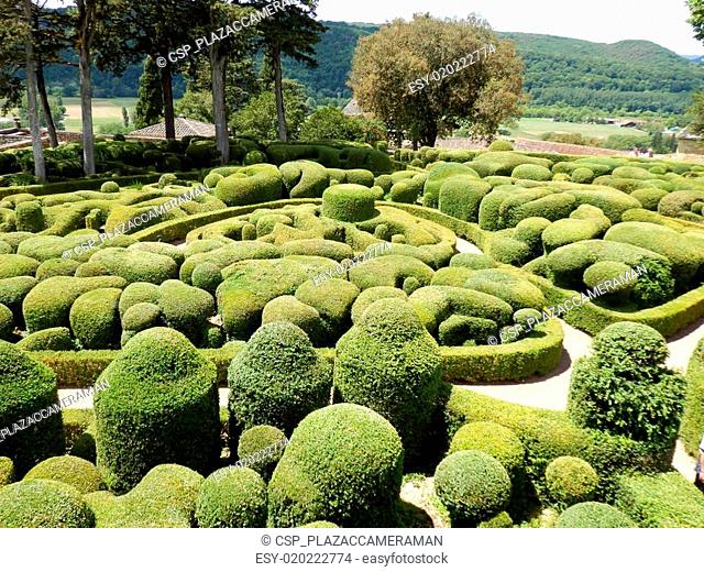 French Topiary Garden