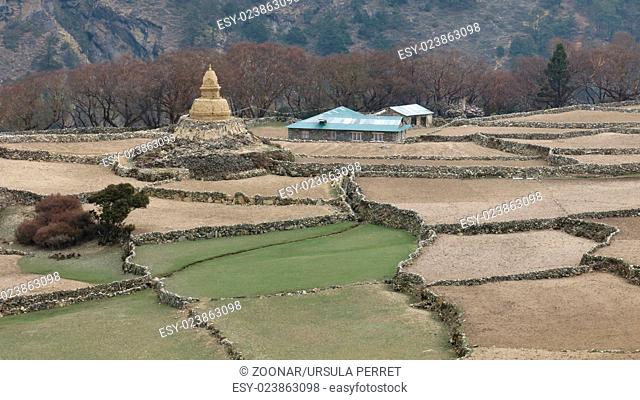 Terraced fields and old Stupa