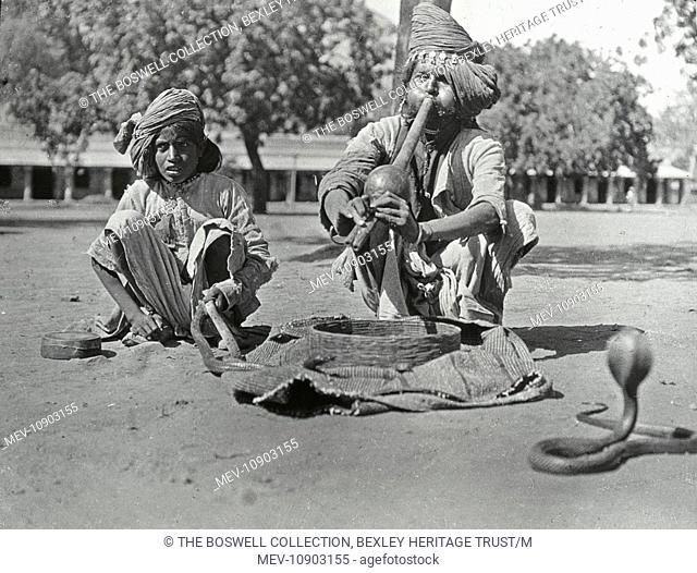 Black and white. A crouching man blowing into a pipe with a basket in front of him. A cobra nearby is facing towards him