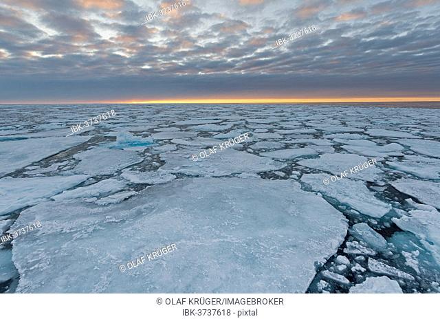 Ice floes, pack ice, evening mood, Arctic Ocean, Spitsbergen Island, Svalbard Archipelago, Svalbard and Jan Mayen, Norway
