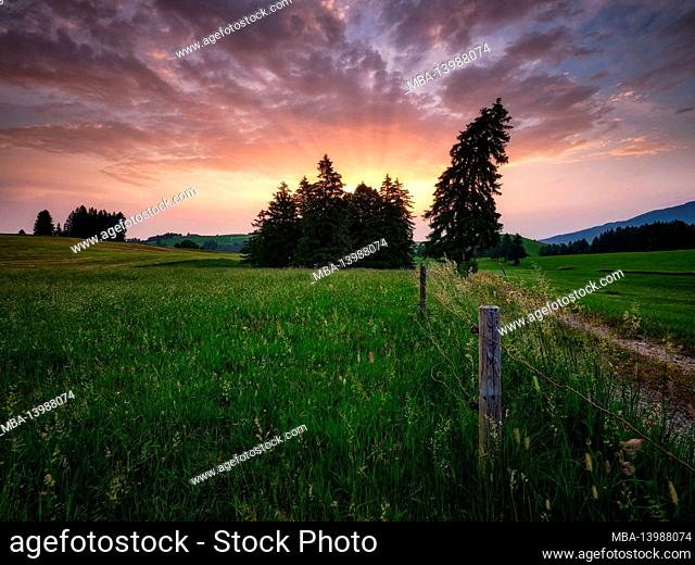 Germany, Halch, young moraine landscape in the Ostallgäu