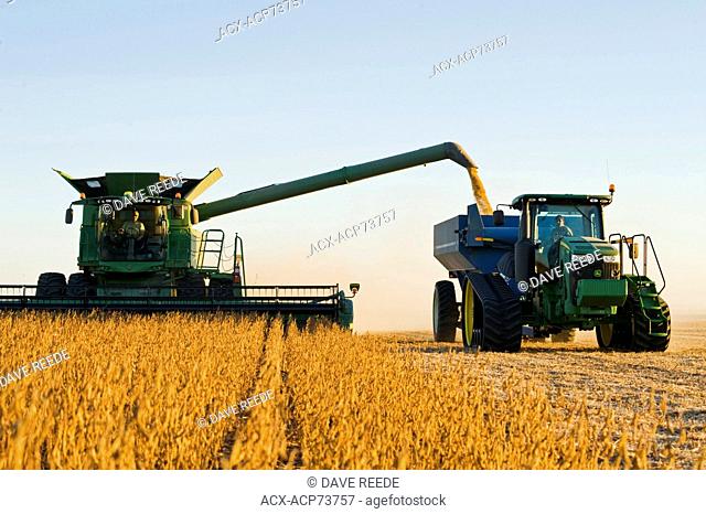 a combine harvester unloads soybeans into a grain wagon on the go during the harvest, near Niverville, Manitoba, Canada