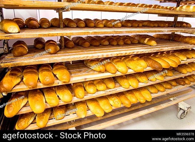 bread bakery food factory production with fresh products prepare to move on in the shelf