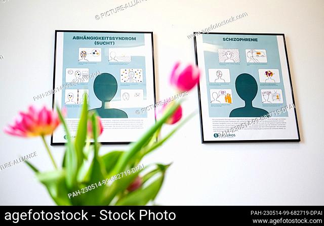 PRODUCTION - 10 May 2023, Hamburg: Graphics reading ""dependence syndrome (addiction)"" and ""schizophrenia"" hang behind flowers in a group room at the...