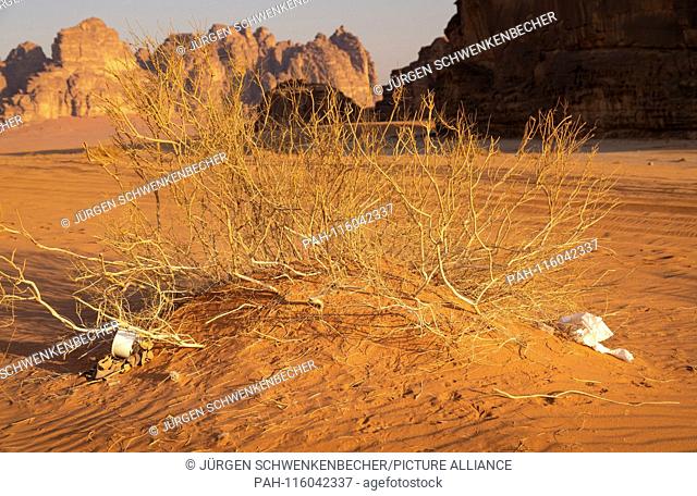 The bad sides of tourism can no longer be overlooked in the Wadi Rum desert. The wind distributes the tourists' waste over a wide area