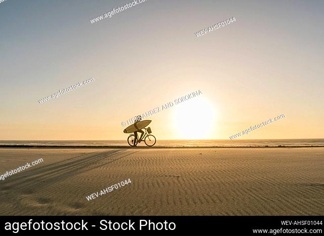 Surfer riding a bicycle during the sunset in the beach, Costa Nova, Portugal