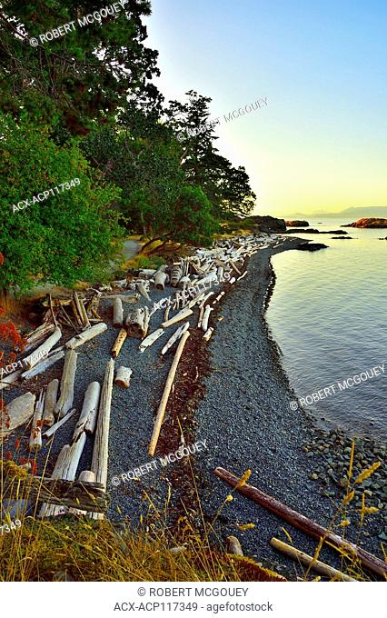 A curved shore line with piles of driftwood at Pipers Lagoon park at Nanaimo Vancouver Island British Columbia, Canada