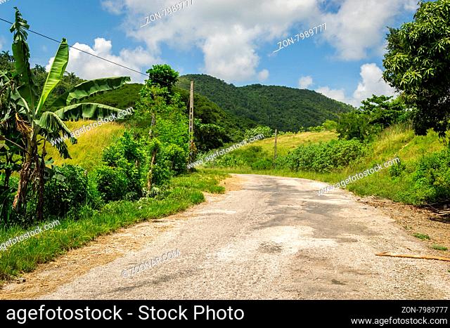 In the picture an asphalted road that passes through the jungle in Cuba